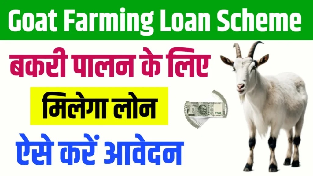 Goat Farming Loans and Subsidies