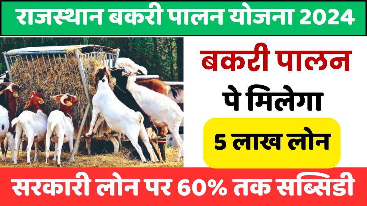 Rajasthan Bakri Palan Yojana 2024