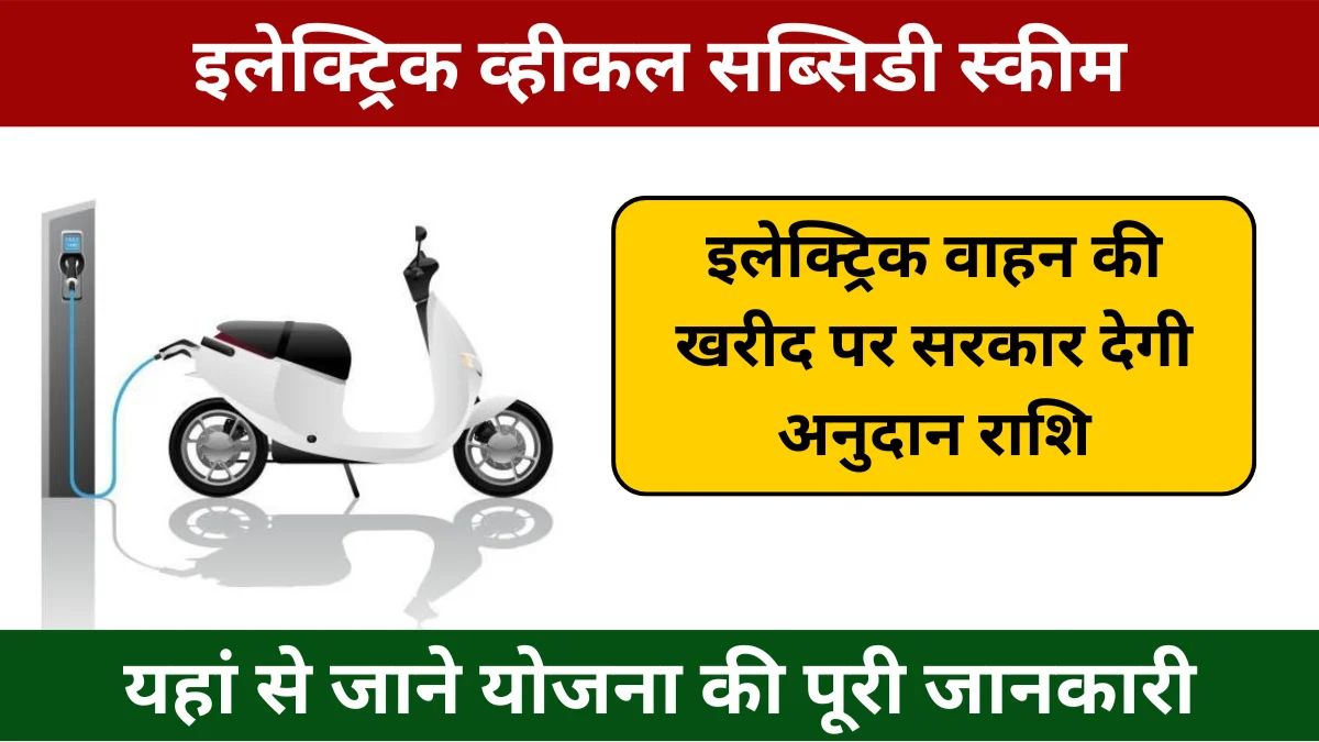 Electric Vehicle Subsidy Scheme